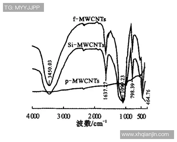独家分析：南京篮球队的速度对比