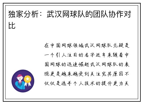 独家分析：武汉网球队的团队协作对比