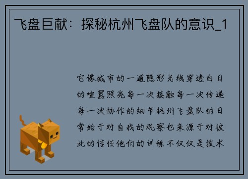 飞盘巨献：探秘杭州飞盘队的意识_1